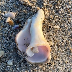 Meet your Posher, Ana